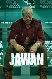 Jawan 2023 1080p NF WEB-DL Download